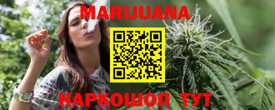 сатива Камышлов