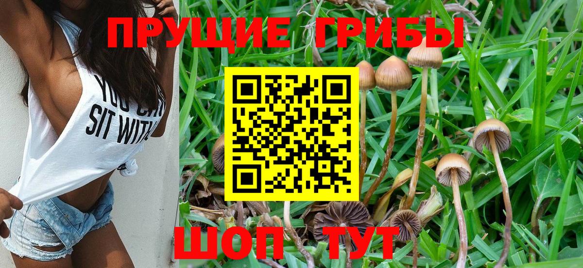 Псилоцибиновые грибы ЛСД Канаш