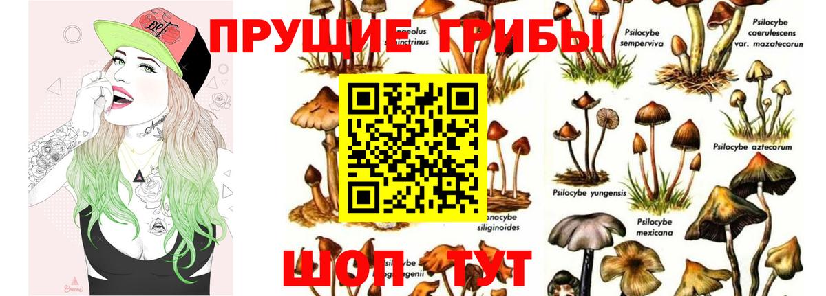 Канаш  Псилоцибиновые грибы ЛСД  Вход с VPN 